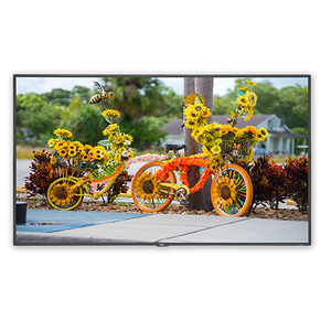 NEC 55" Thin-Depth Commercial Display